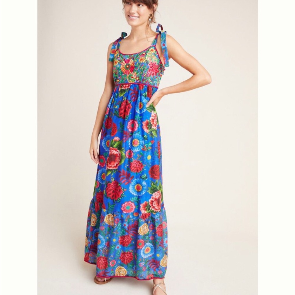 Anthropologie cirque embroidered maxi dress